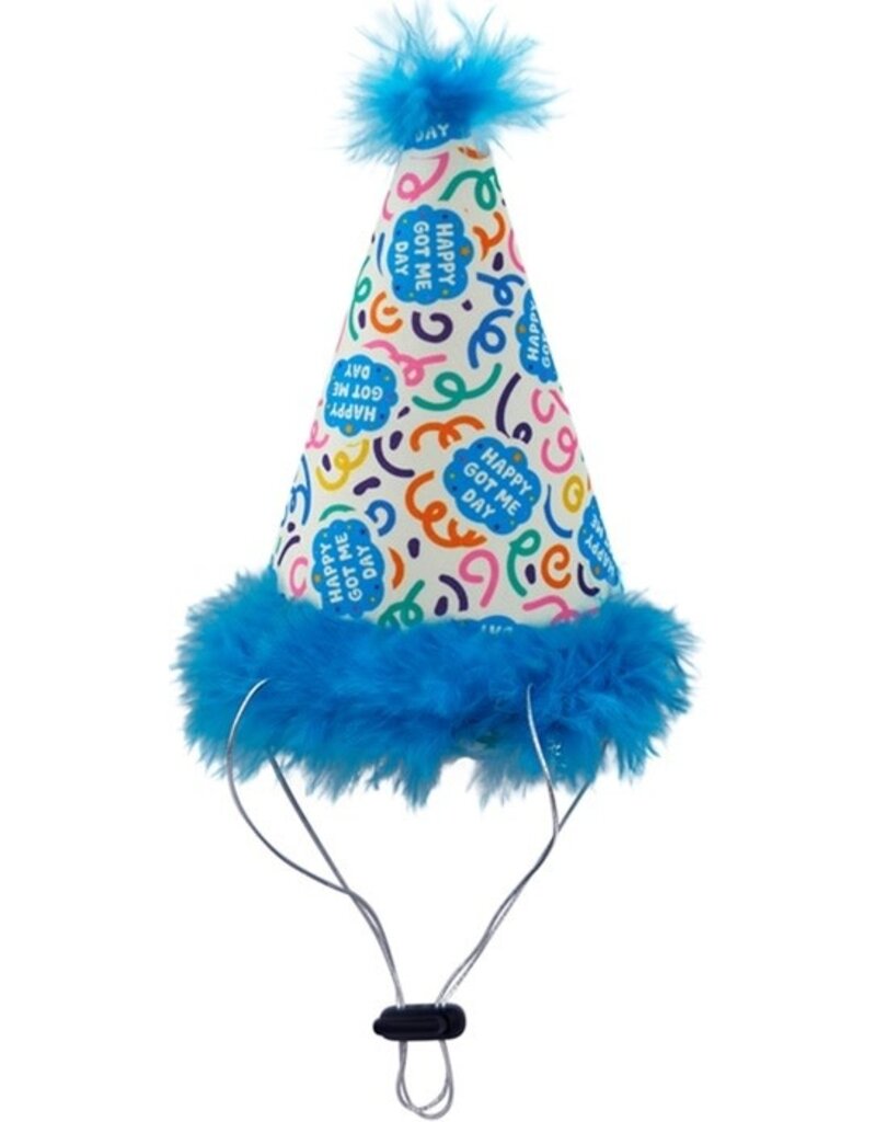 H&K CELEBRATION D&C PARTY HAT HAPPY GOT ME DAY SMALL