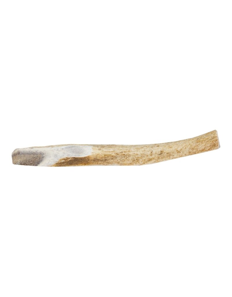 Primal Dog Elk Split Antler XLarge