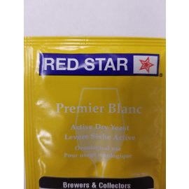 Red Star Red Star Paster Champpagne Yeast (yellow)