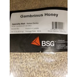 Gambrinus Honey 1lb single