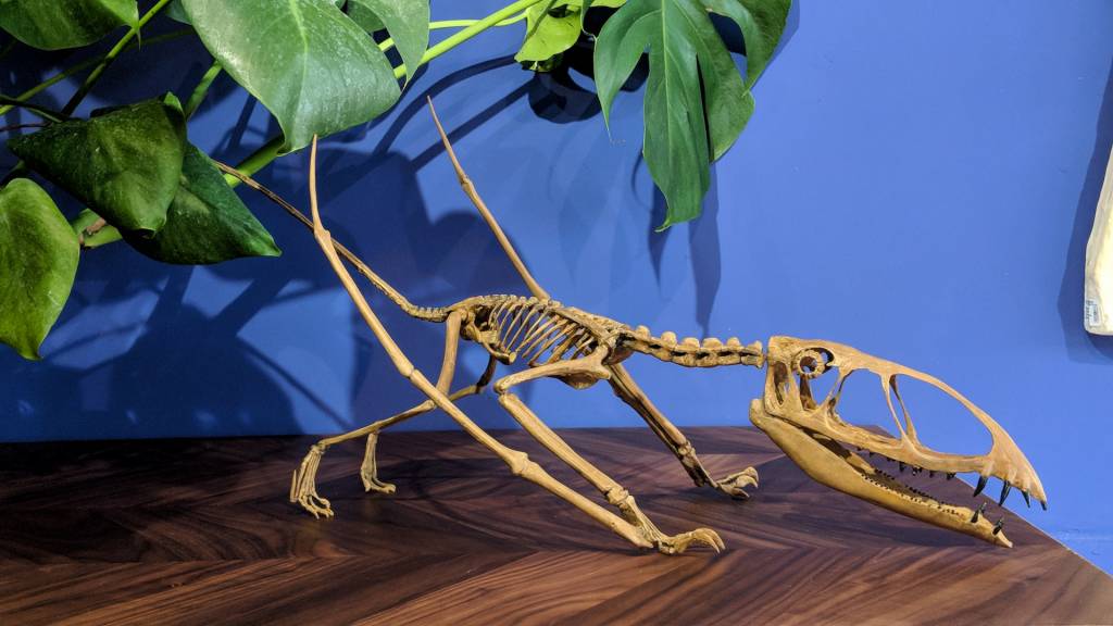 wireless home phone service comparison