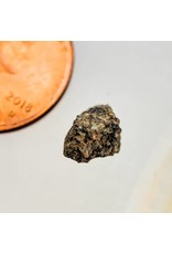 Shergottite Martian Meteorite Morocco