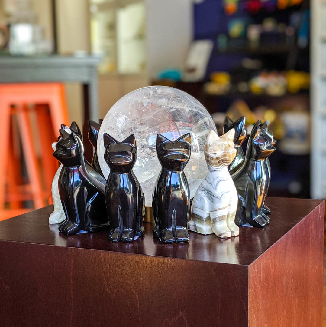 Mexican Onyx Cat - Igneous Theory Mexican Onyx Cat - Igneous Theory