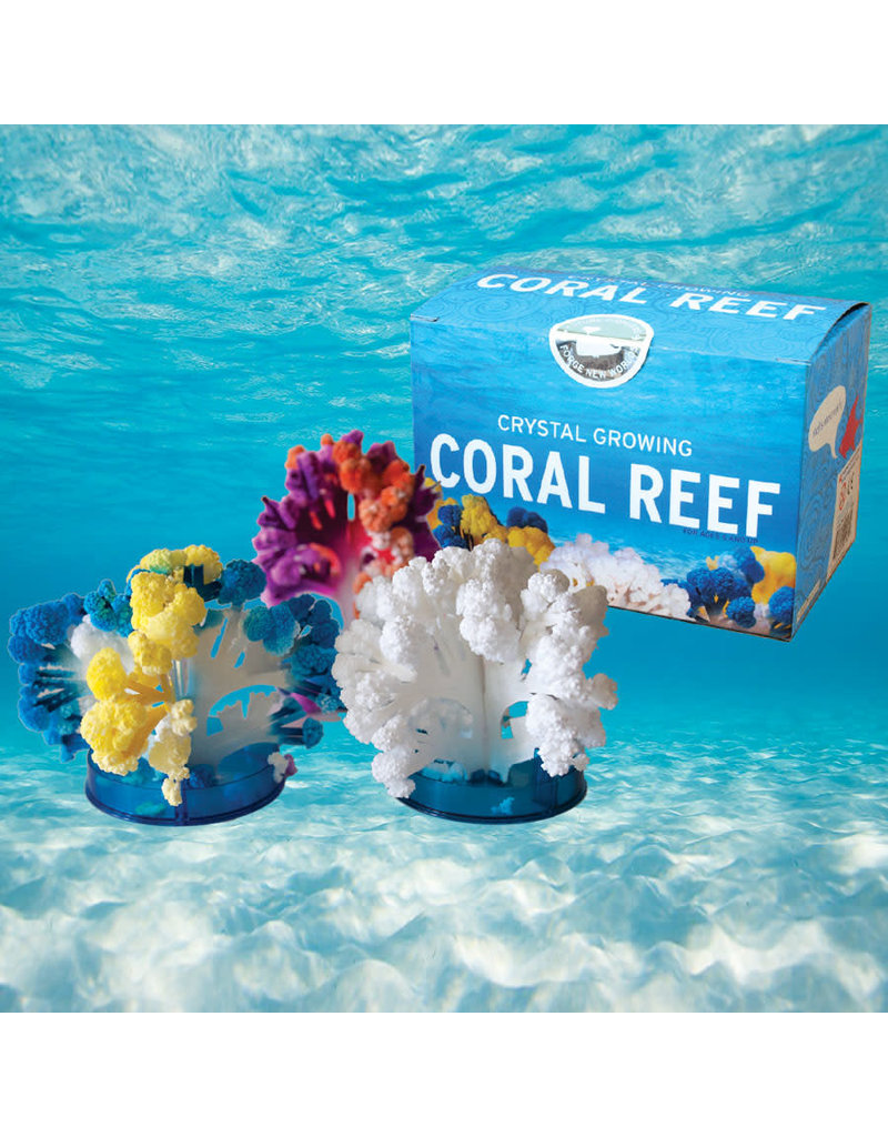 Copernicus Toys Crystal Growing Coral Reef
