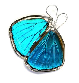 Wingstitution Blue Morpho Menelaus Bottom Wing Butterfly Earrings