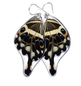 Wingstitution Central Emperor Swallowtail Bottom Wing Butterfly Earrings