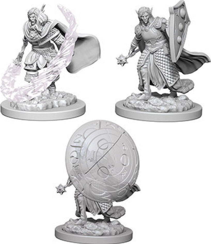 D&D Miniatures: Elf Male Cleric | The Adventure Begins - The Adventure Begins