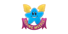 Flying Meeple