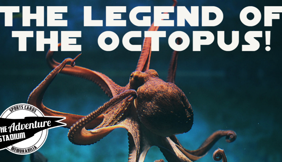 Sports Cards and Stuff | The Legend of the Octopus! 