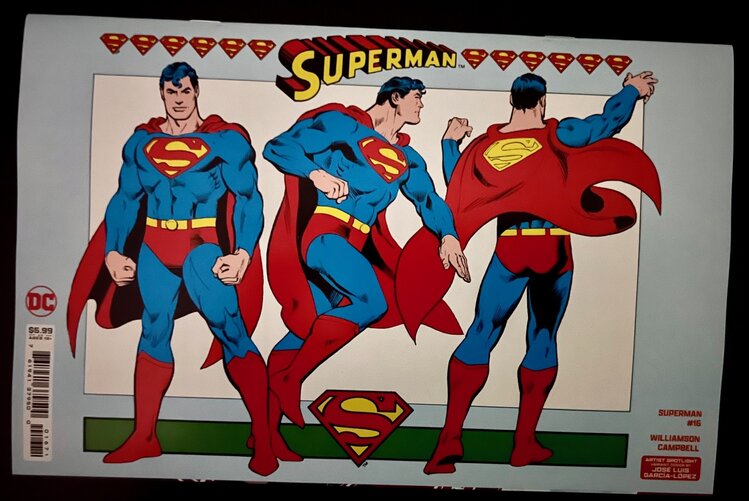 DC Comics 1982 DC Artist: Jose Luis Garcia-Lopez Spotlight (Bundle) Absolute Power