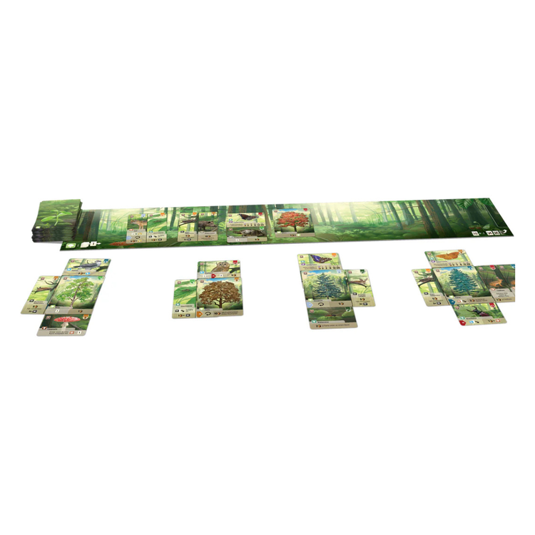 Lookout Games Forest Shuffle