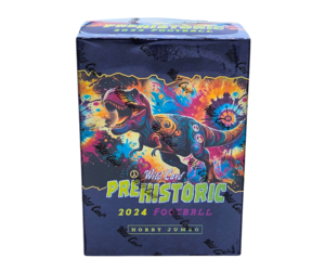 wild-card-2024-wild-card-