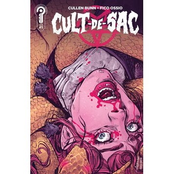 Ignition Press Cult-de-Sac #1 (1:10) Aneke