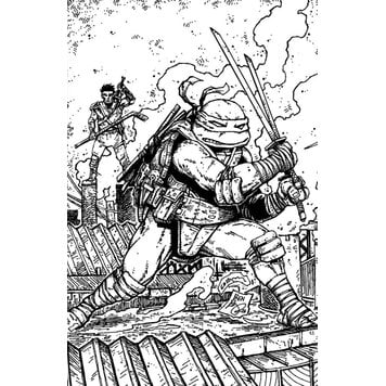 IDW Publishing Teenage Mutant Ninja Turtles #21 (1:10)