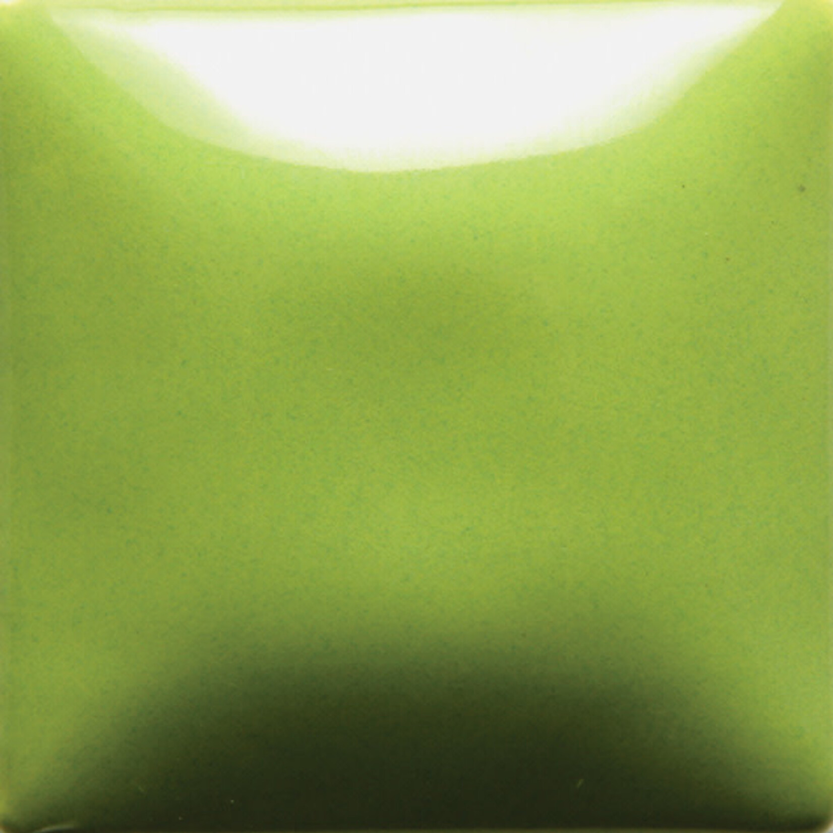 COLORAMICS, LLC MAYCO FN-054 PISTACHIO