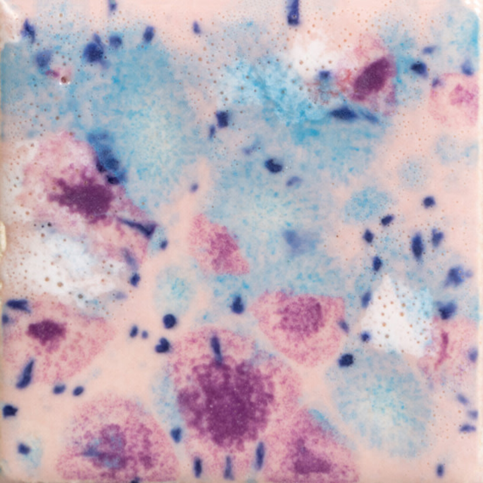 COLORAMICS, LLC MAYCO CG-998 PIXIE PINK