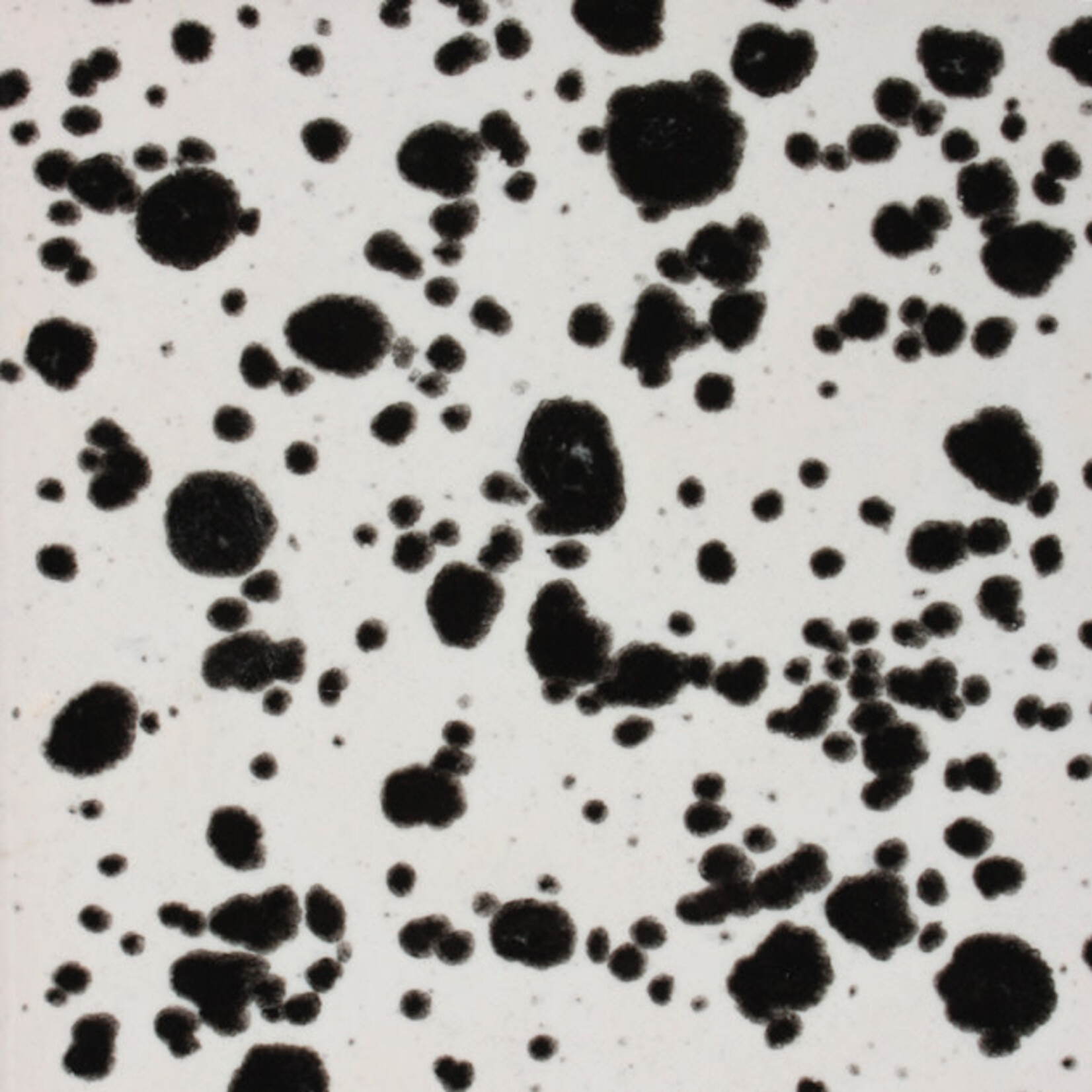 COLORAMICS, LLC MAYCO CG-977 INK SPOTS