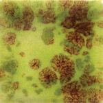 COLORAMICS, LLC CG-717 PISTACHIO