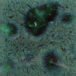 COLORAMICS, LLC CG-713 PEACOCK GREEN