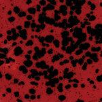 COLORAMICS, LLC CG-984 LADYBUG