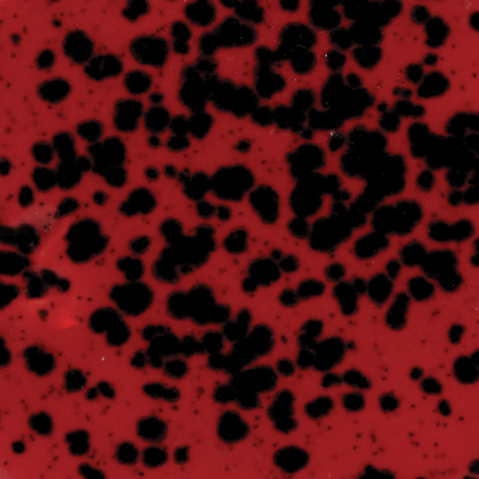 COLORAMICS, LLC MAYCO CG-984 LADYBUG