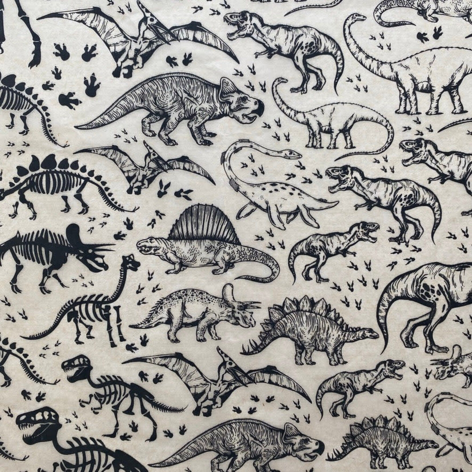 Elan Pottery Transfers Dinosaurs Underglaze Transfer - Black
