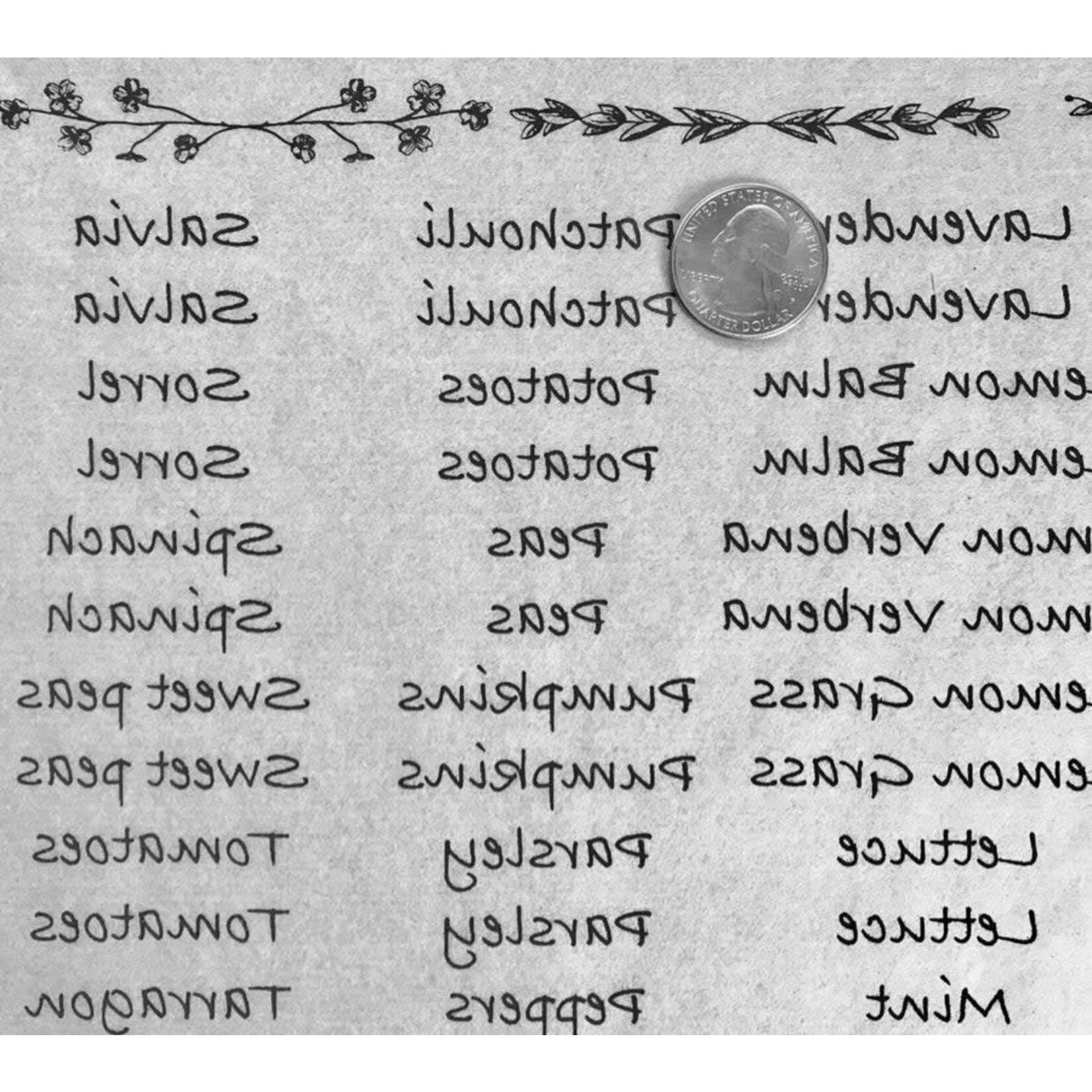 Elan Pottery Transfers Herb / Veggie Names Underglaze Transfer - Black