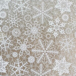 Elan Pottery Transfers Snowflake Lace Underglaze Transfer - White