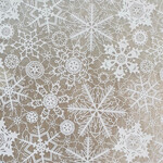 Underglaze Transfer EP- Snowflake Lace White