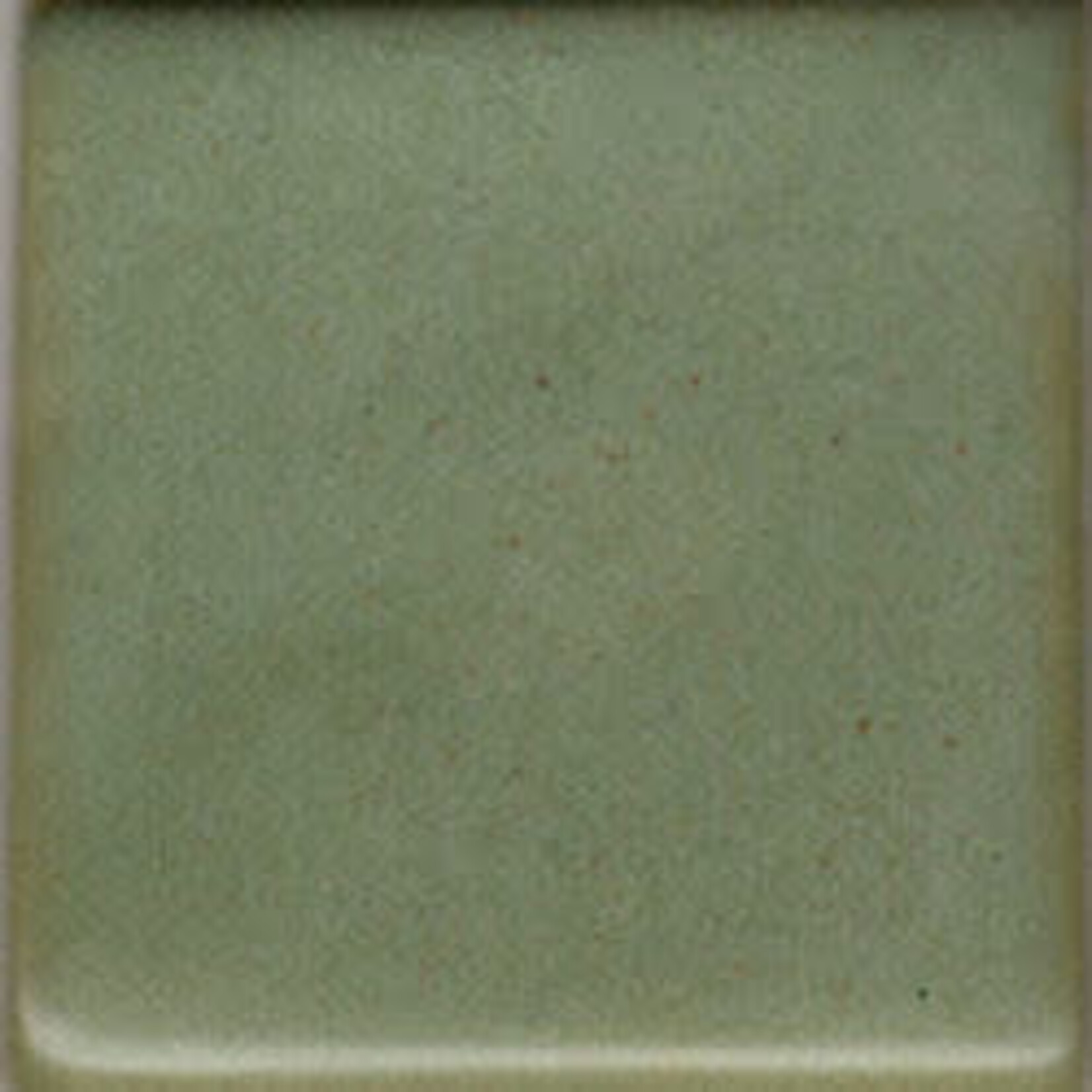Coyote Clay & Color MBG 183 ENDURO DEEP AVOCADO