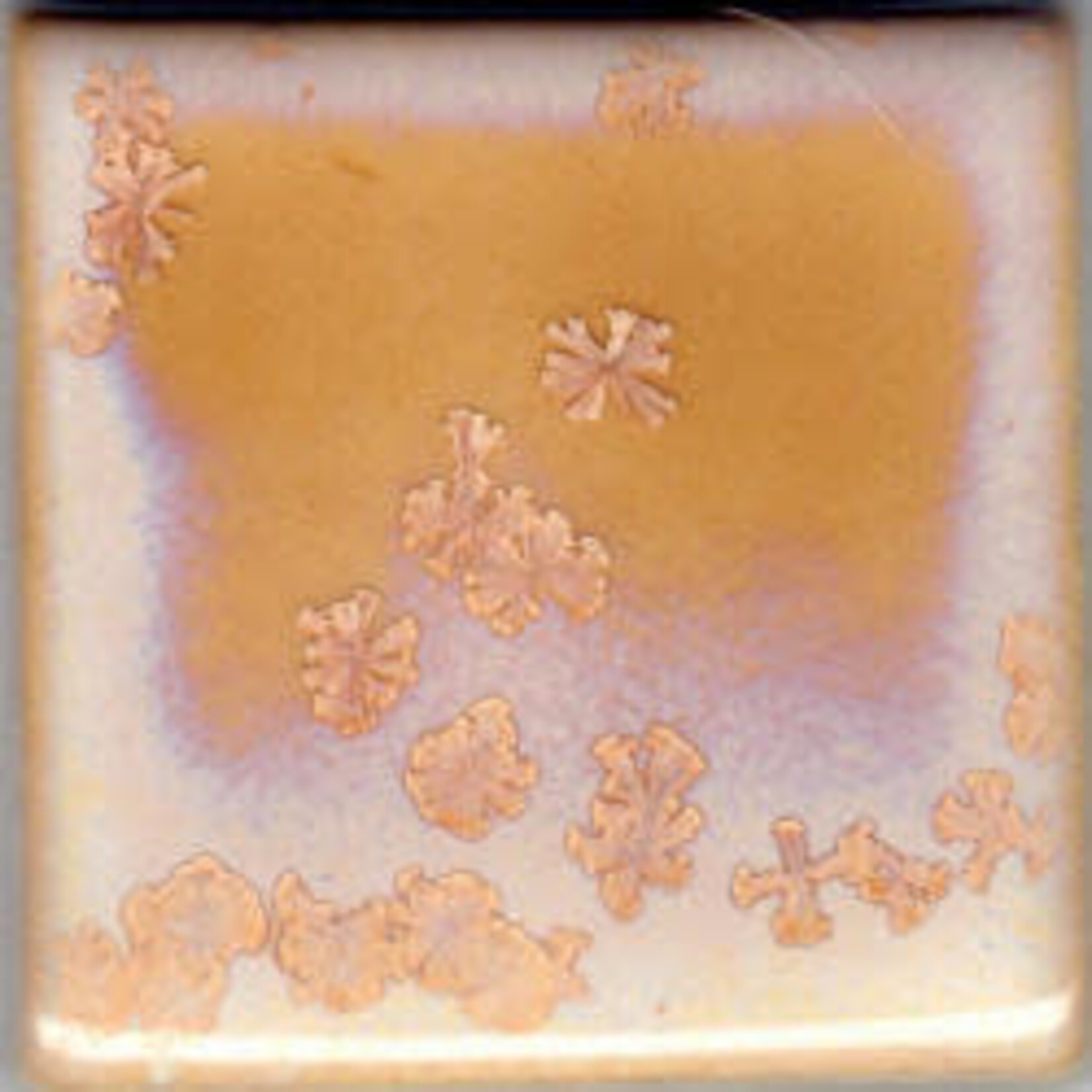 Coyote Clay & Color COYOTE MBG-165 ROSE CRYSTAL (SP ORDER)
