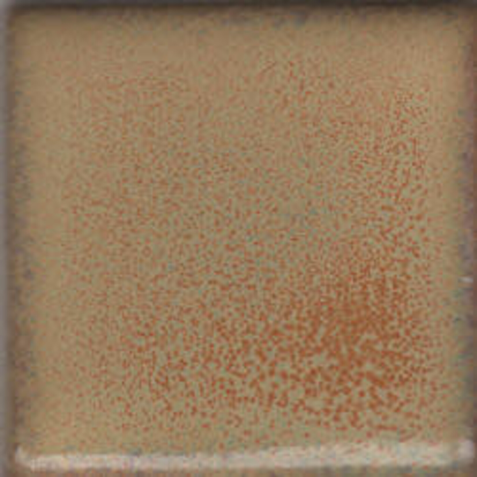 Coyote Clay & Color COYOTE MBG-173 SUMMER SPICE