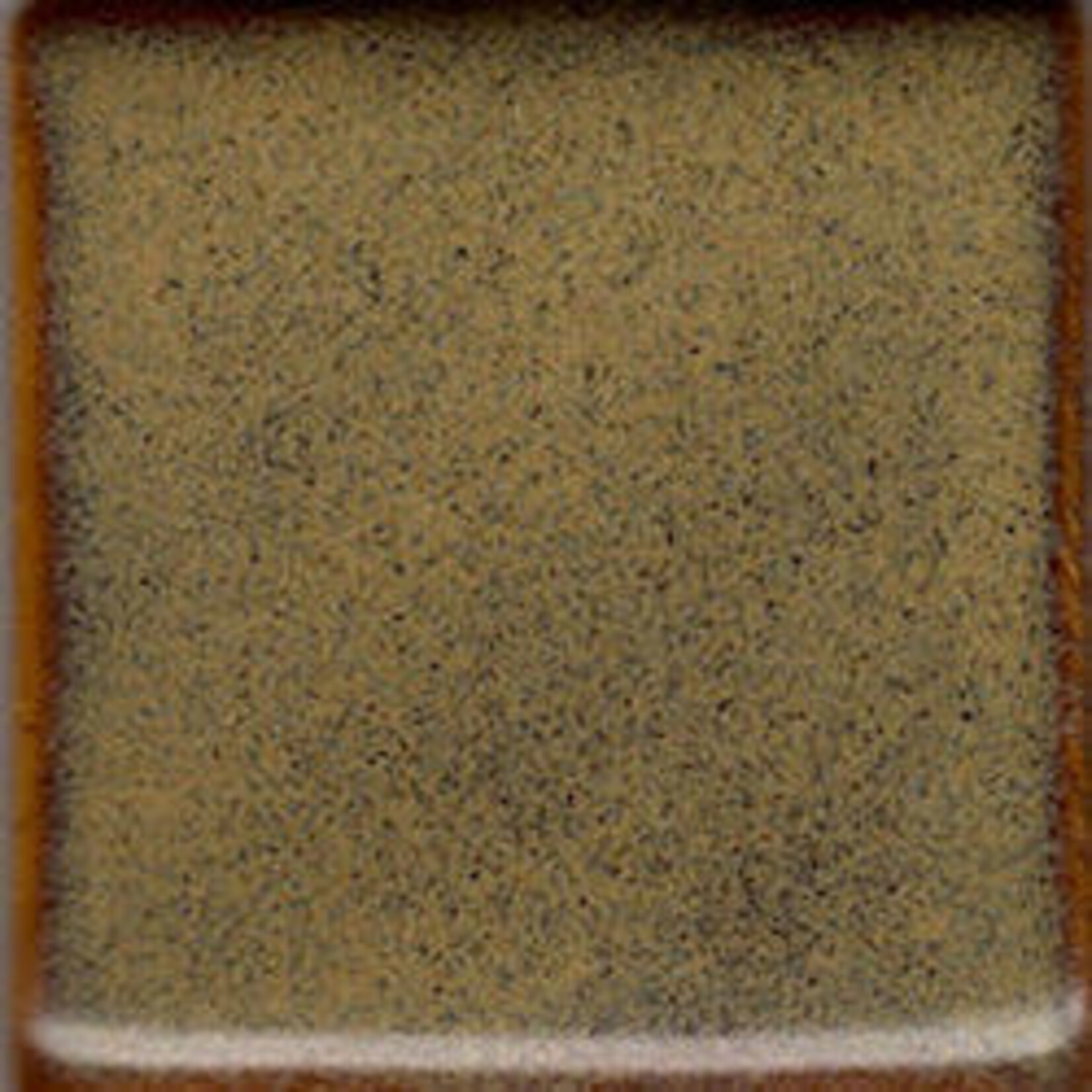 Coyote Clay & Color COYOTE MBG-185 WALNUT
