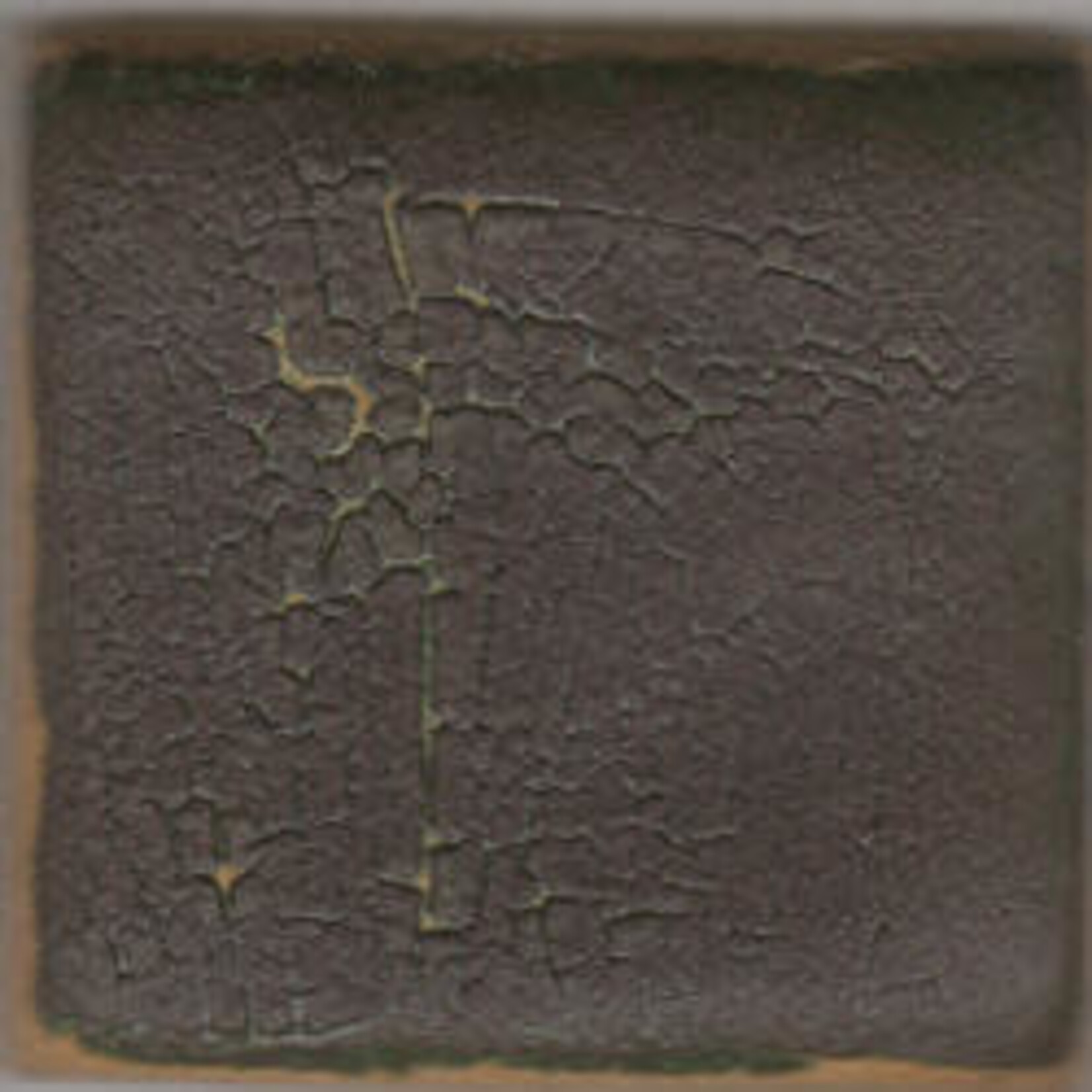 Coyote Clay & Color COYOTE MBG-110 BLACK CRAWL- DISCONTINUED