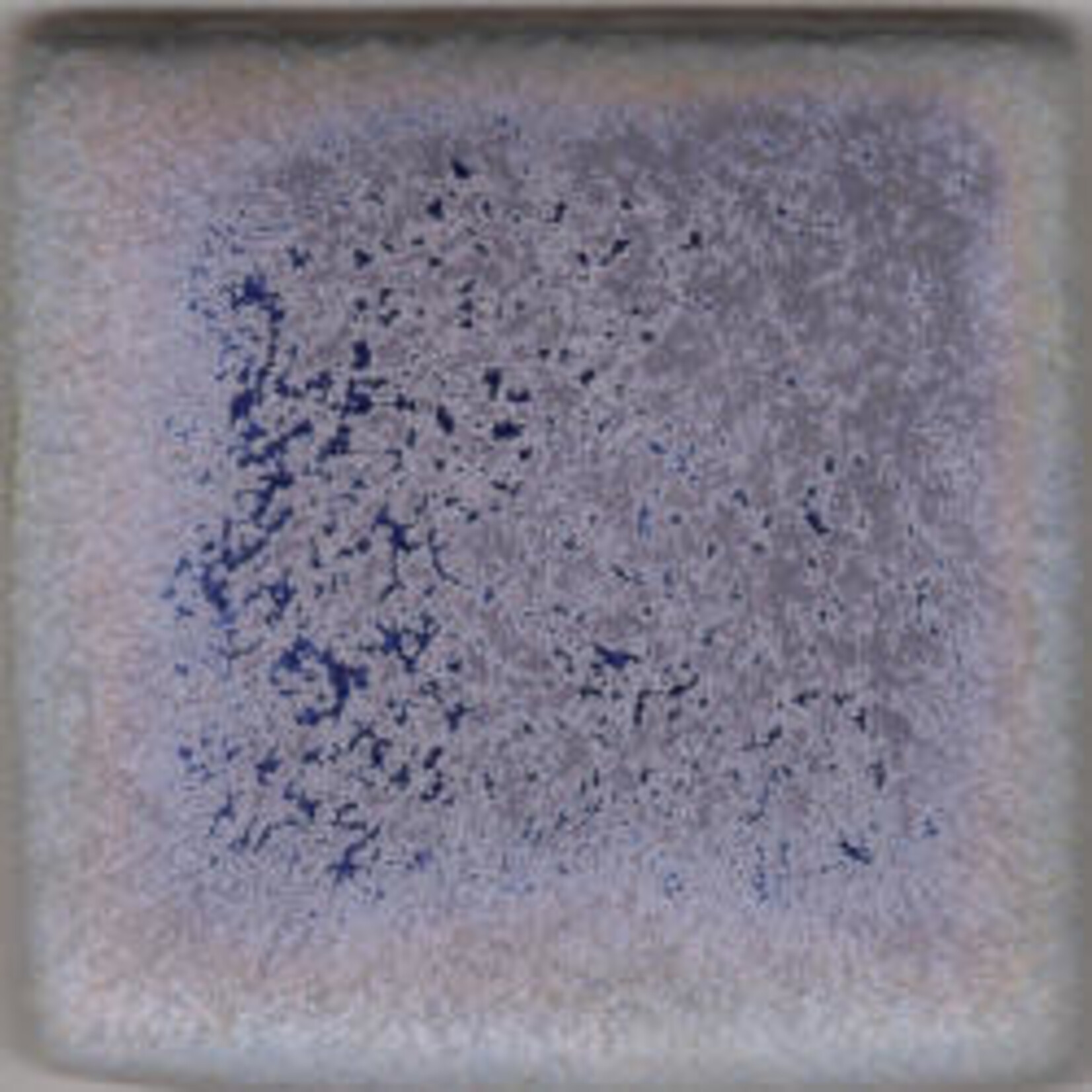 Coyote Clay & Color COYOTE MBG-028 BLUE PURPLE