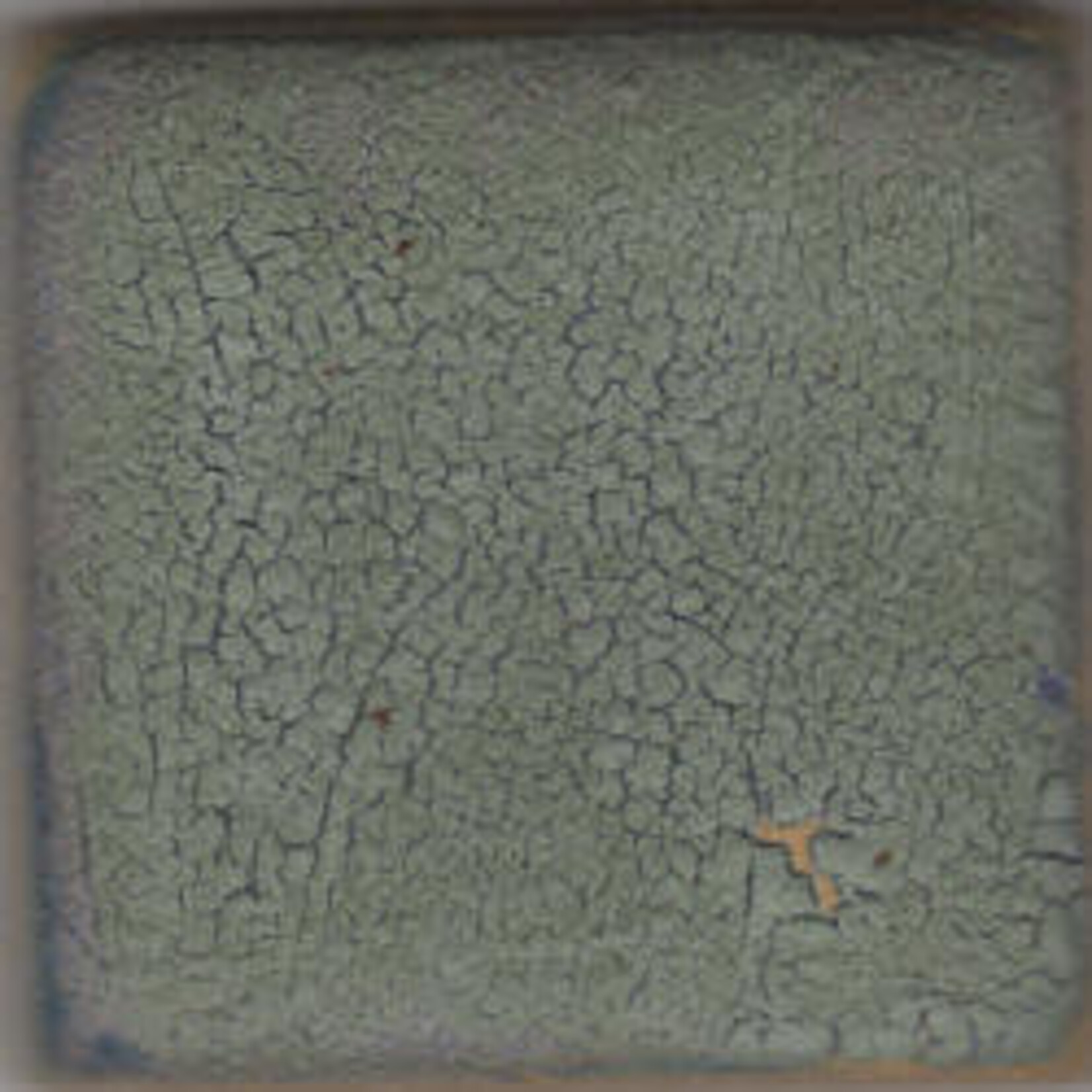 Coyote Clay & Color COYOTE MBG-062 BLUE CRAWL