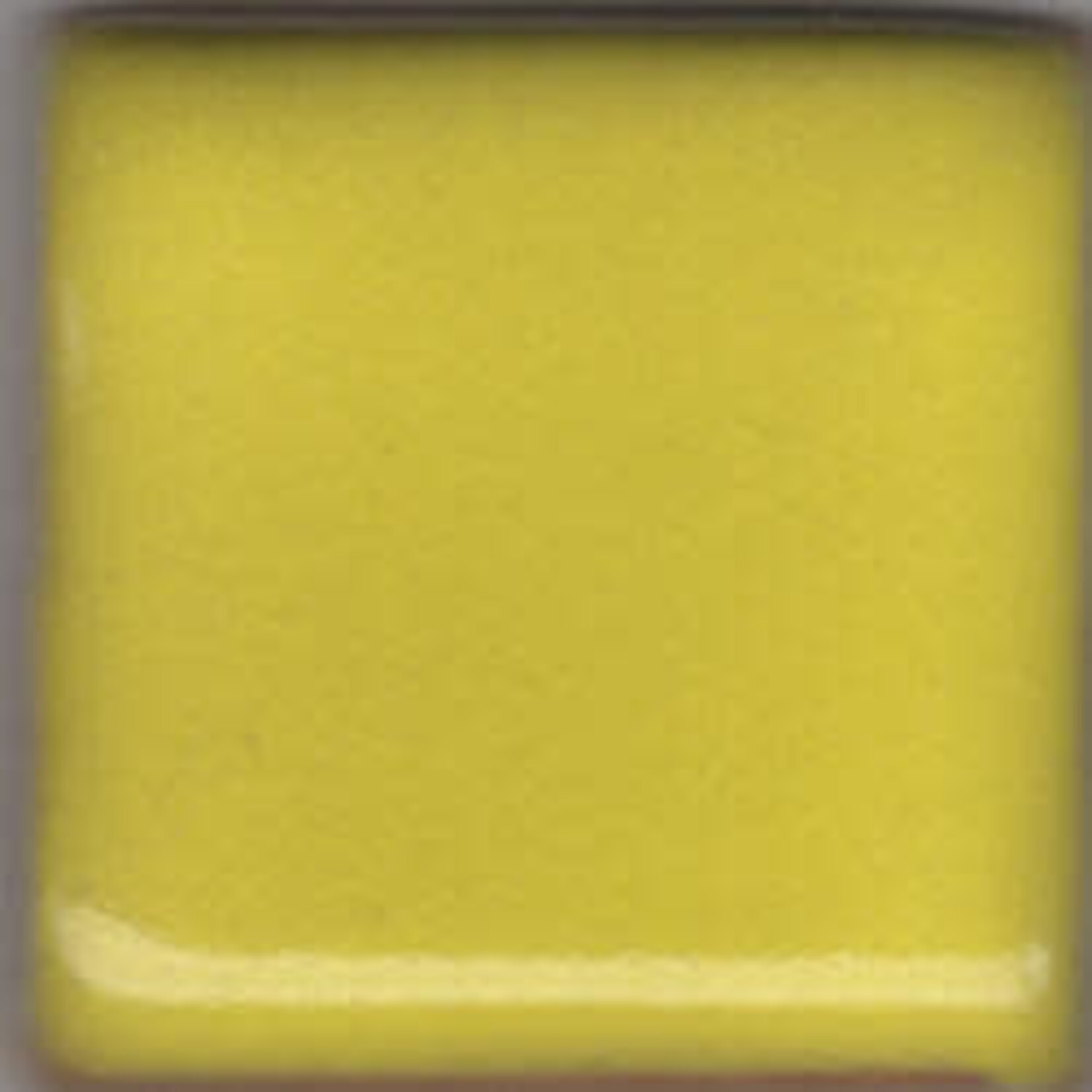 Coyote Clay & Color COYOTE MBG-050 BUTTERCUP