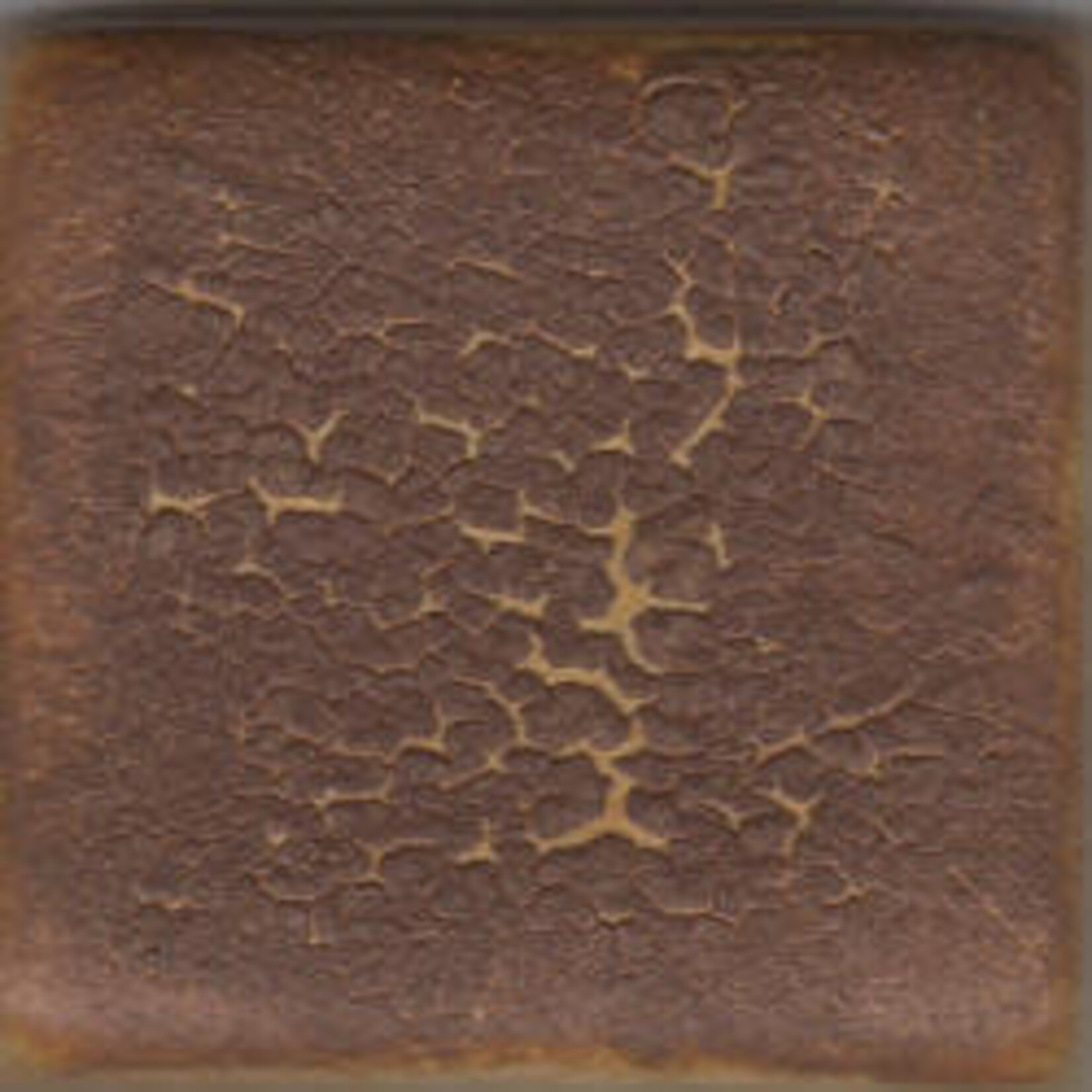 Coyote Clay & Color COYOTE MBG-064 CHOCOLATE CRAWL (SP ORDER)