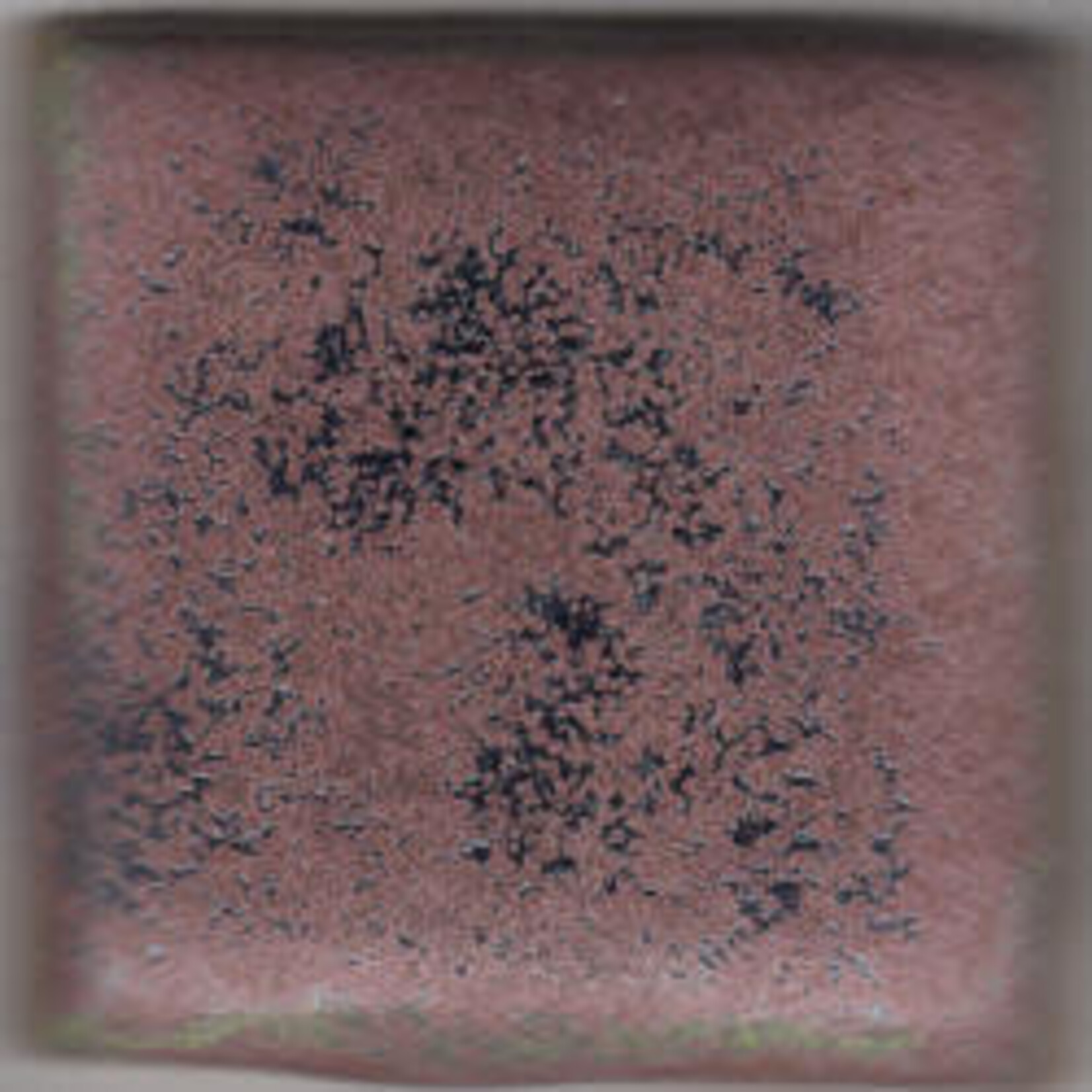 Coyote Clay & Color COYOTE MBG-056 EGGPLANT