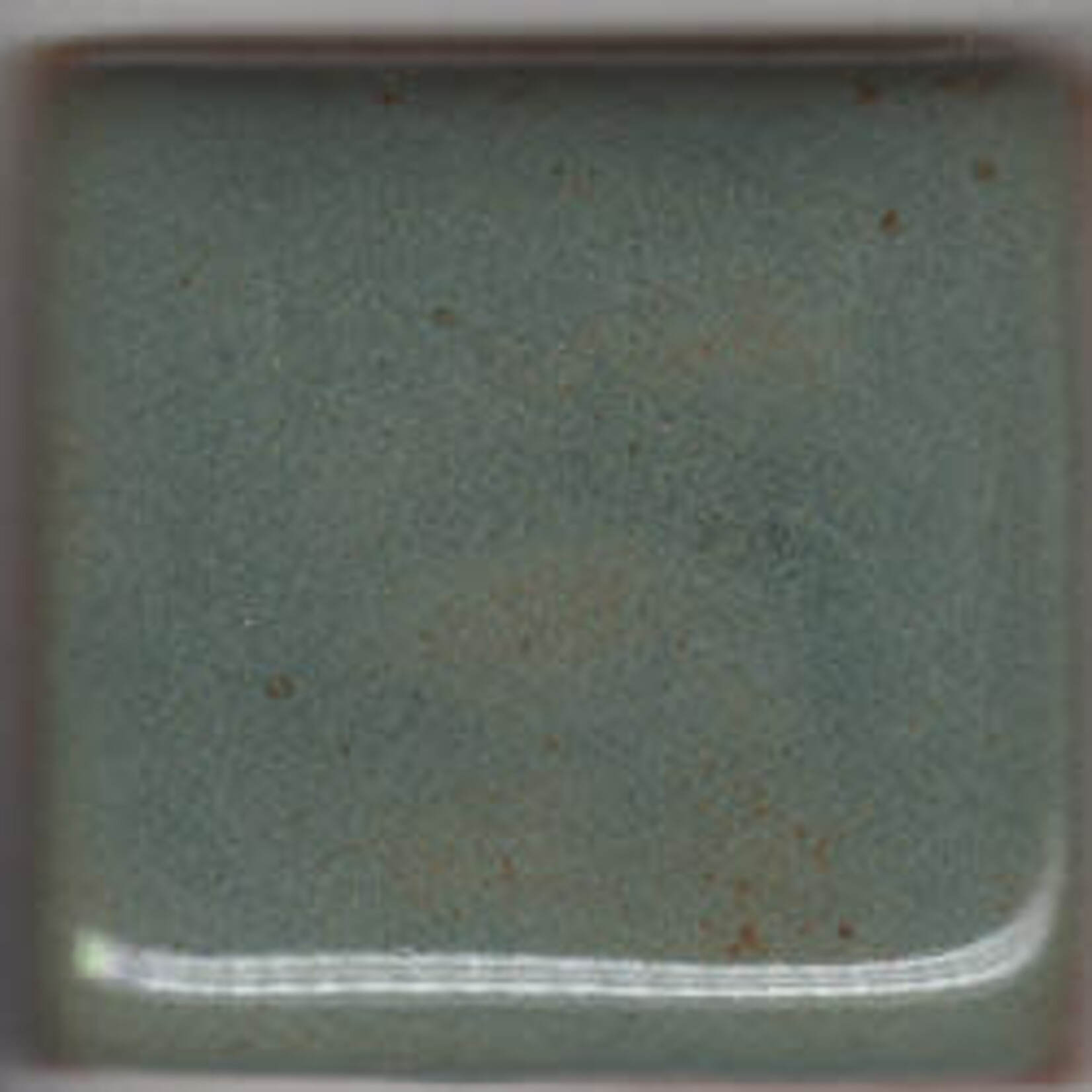 Coyote Clay & Color COYOTE MBG-061 DESERT SAGE
