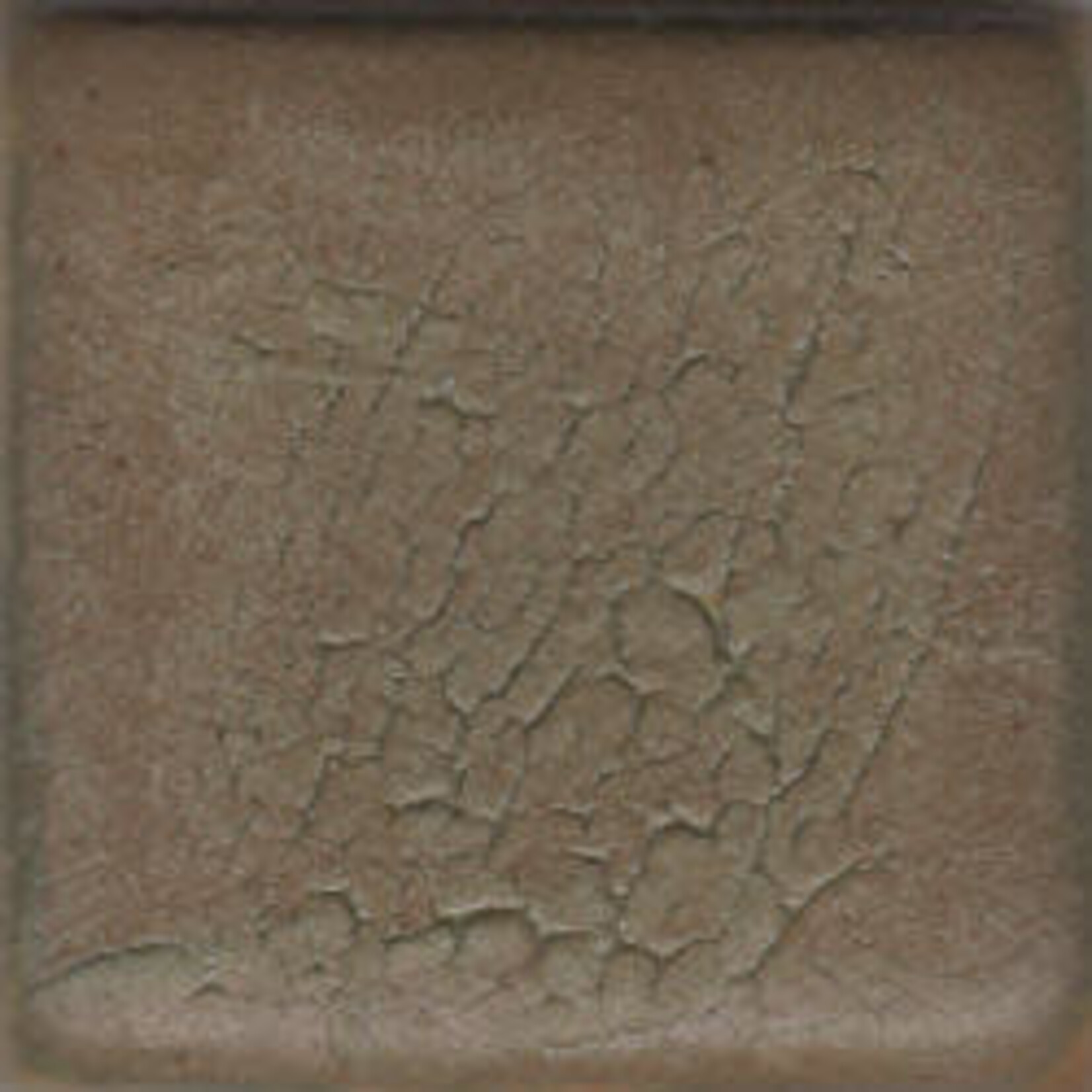 Coyote Clay & Color COYOTE MBG-065 CROC CRAWL