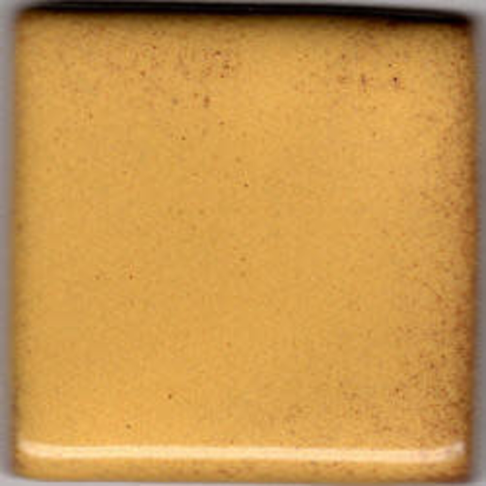 Coyote Clay & Color COYOTE MBG-088 GOLDENROD SHINO