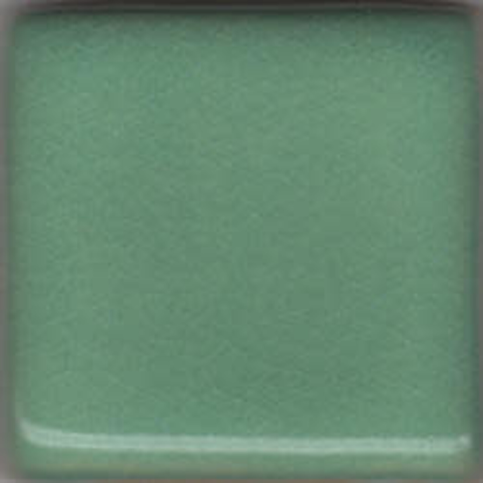 Coyote Clay & Color COYOTE MBG-015 MINT