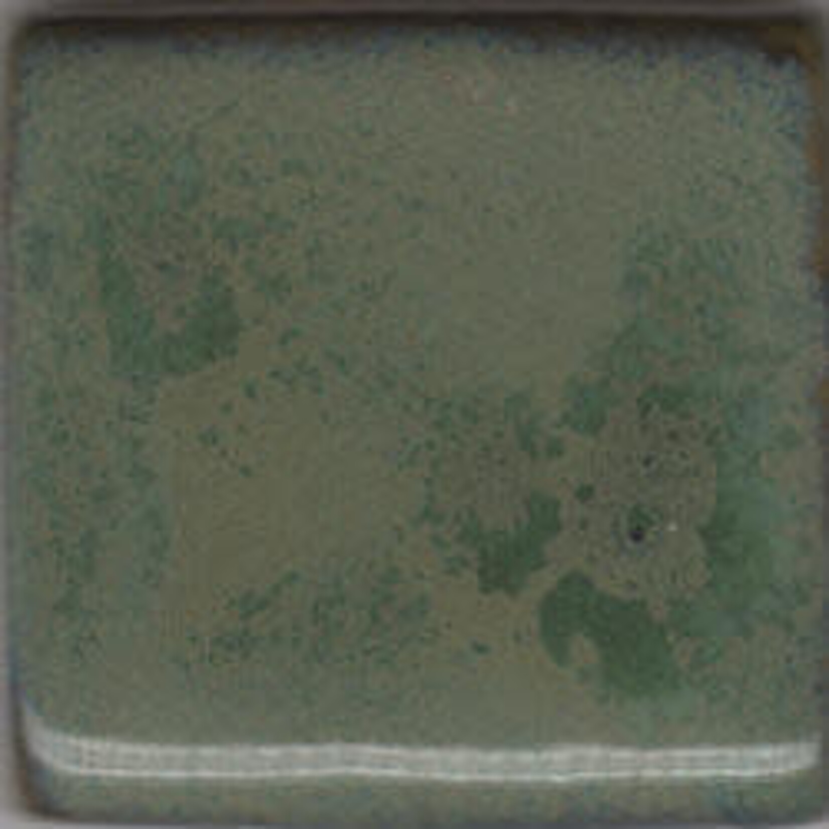 Coyote Clay & Color COYOTE MBG-038 PAM'S GREEN