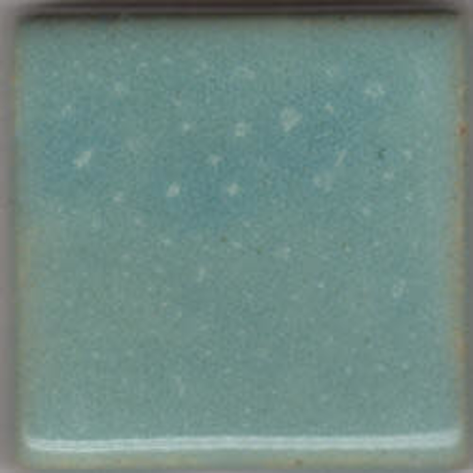 Coyote Clay & Color COYOTE MBG-154 SEA MIST--DISCONTINUED