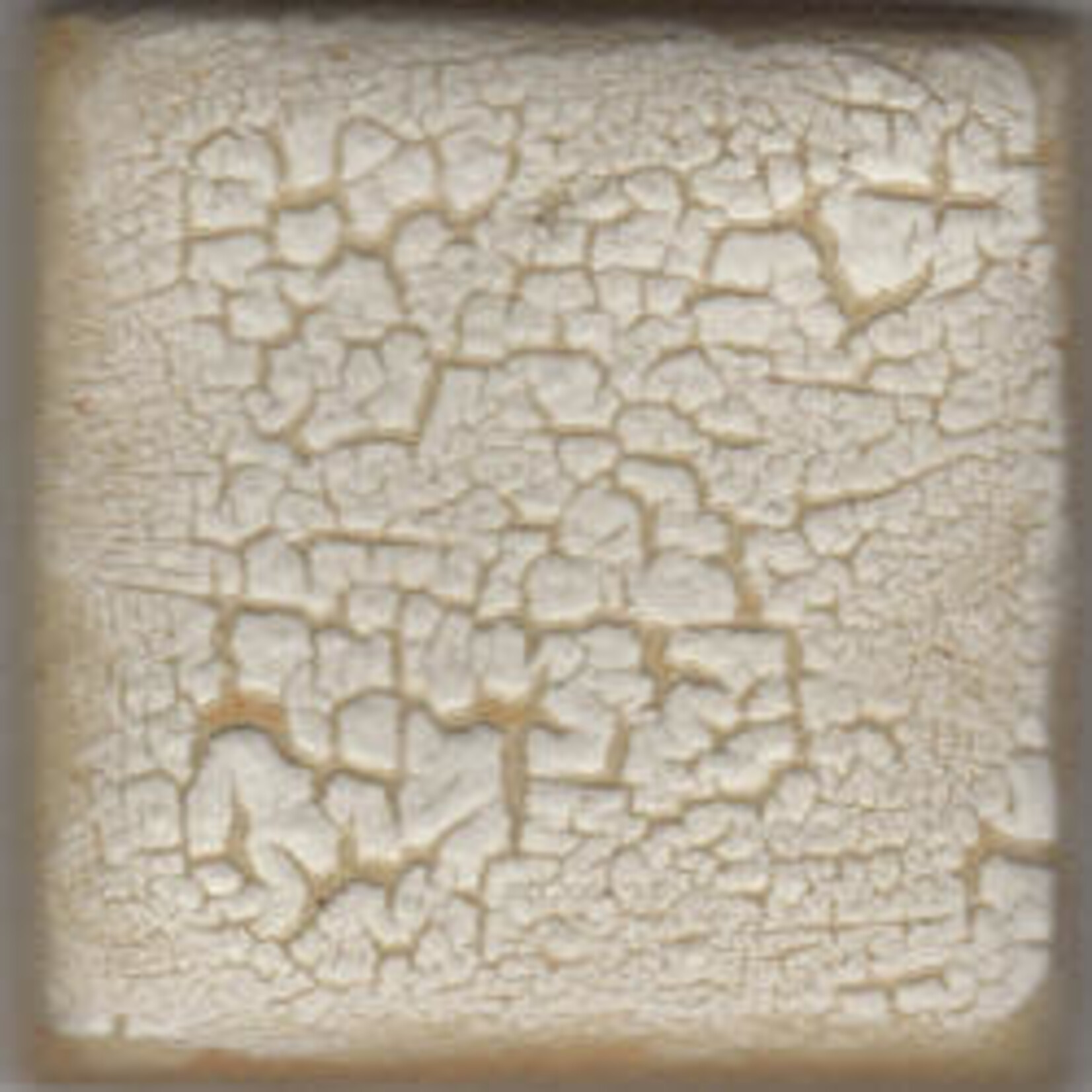 Coyote Clay & Color COYOTE MBG-073 WHITE CRAWL