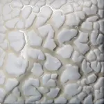 COLORAMICS, LLC SW-403 WHITE MUDCRACK