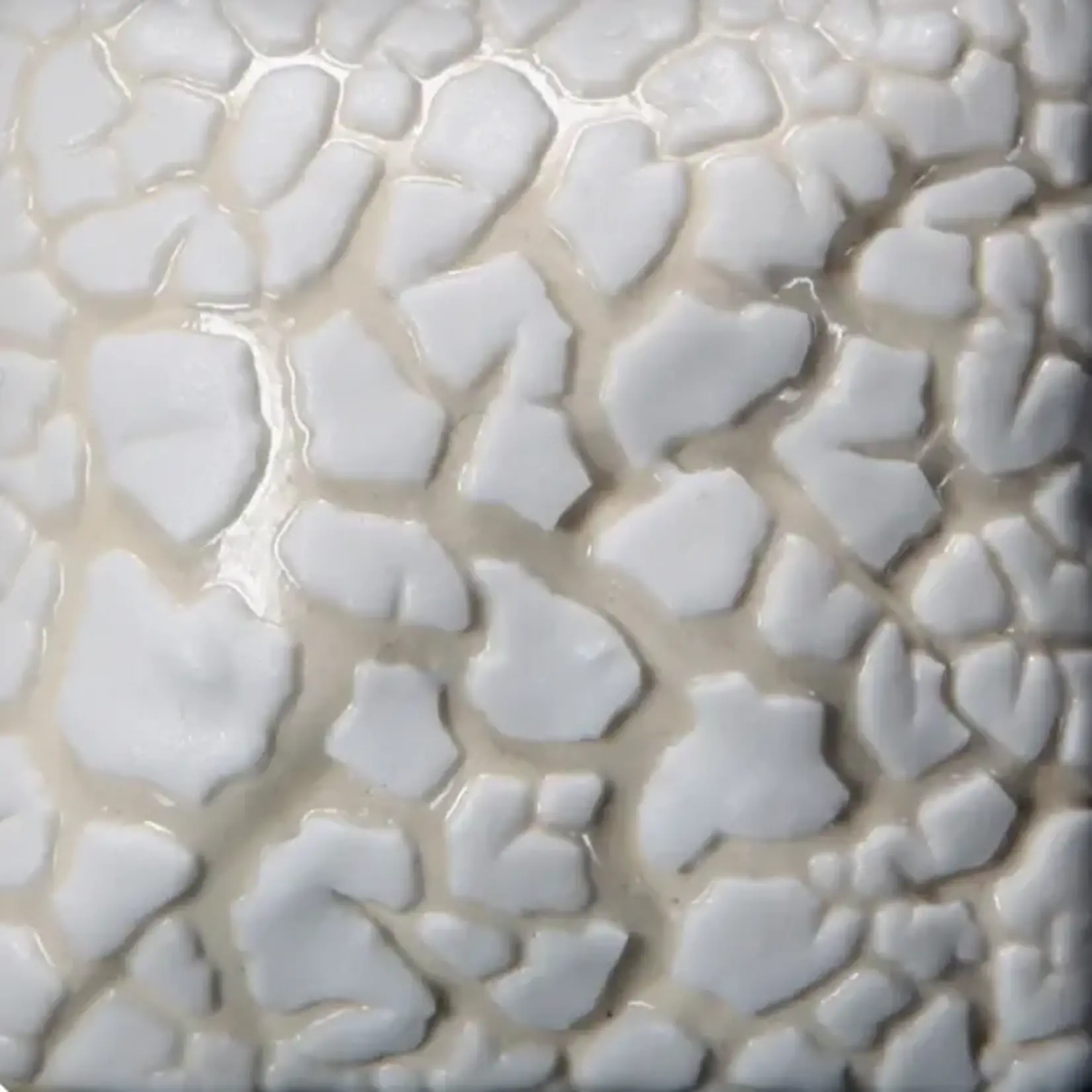COLORAMICS, LLC MAYCO SW-403 PT WHITE MUDCRACK