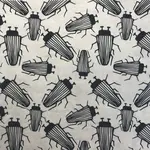 Elan Pottery Transfers Beetles Underglaze Transfer - Black