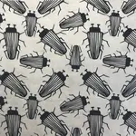 Underglaze Transfer EP-Beetles Black